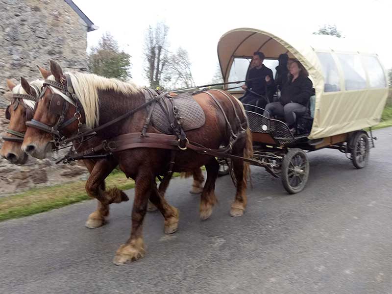 Balades en chariot western dans le bocage normand en Cotentin proche de Cherbourg et Valognes